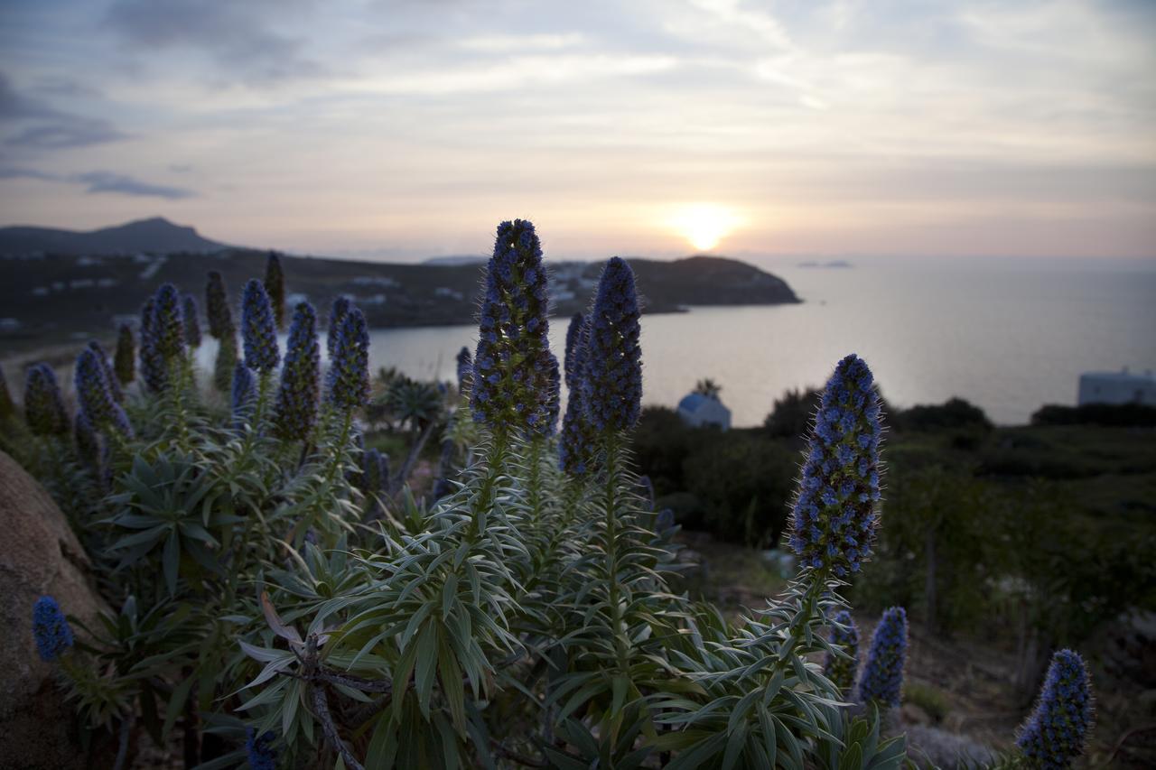 Plan-B Holidays Kaló Livádi Kültér fotó